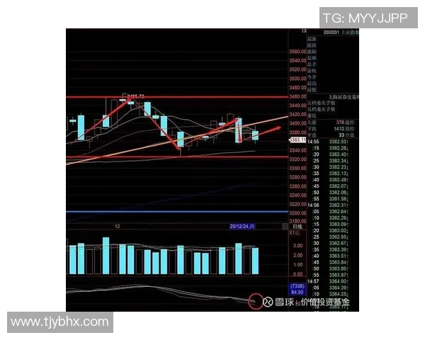 成都羽毛球队在精英赛中的技术表现分析与点评